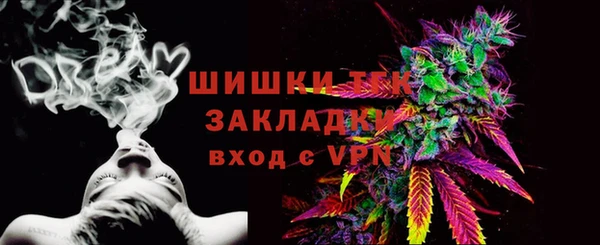 хмурый Аркадак
