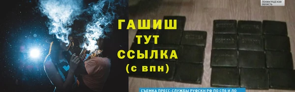 хмурый Аркадак