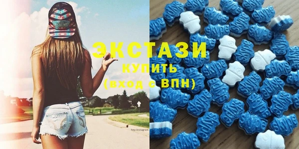 хмурый Аркадак