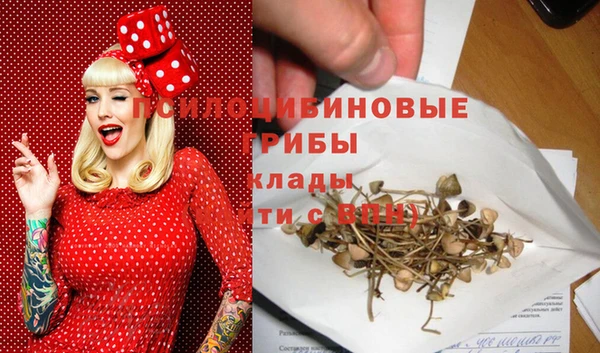 гашик Армянск