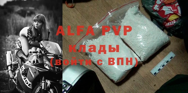 хмурый Аркадак
