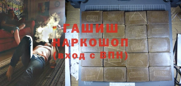 хмурый Аркадак