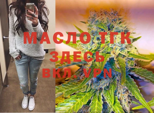 хмурый Аркадак