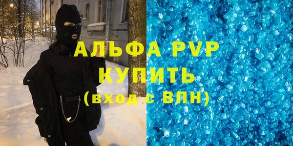 хмурый Аркадак