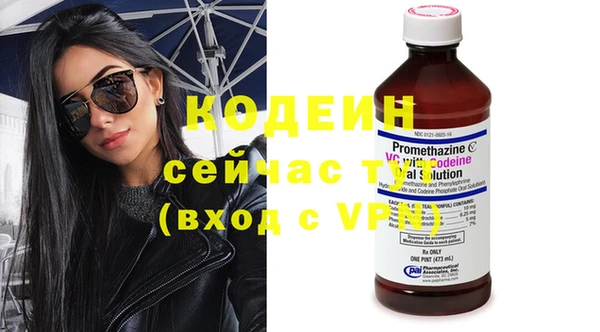 хмурый Аркадак
